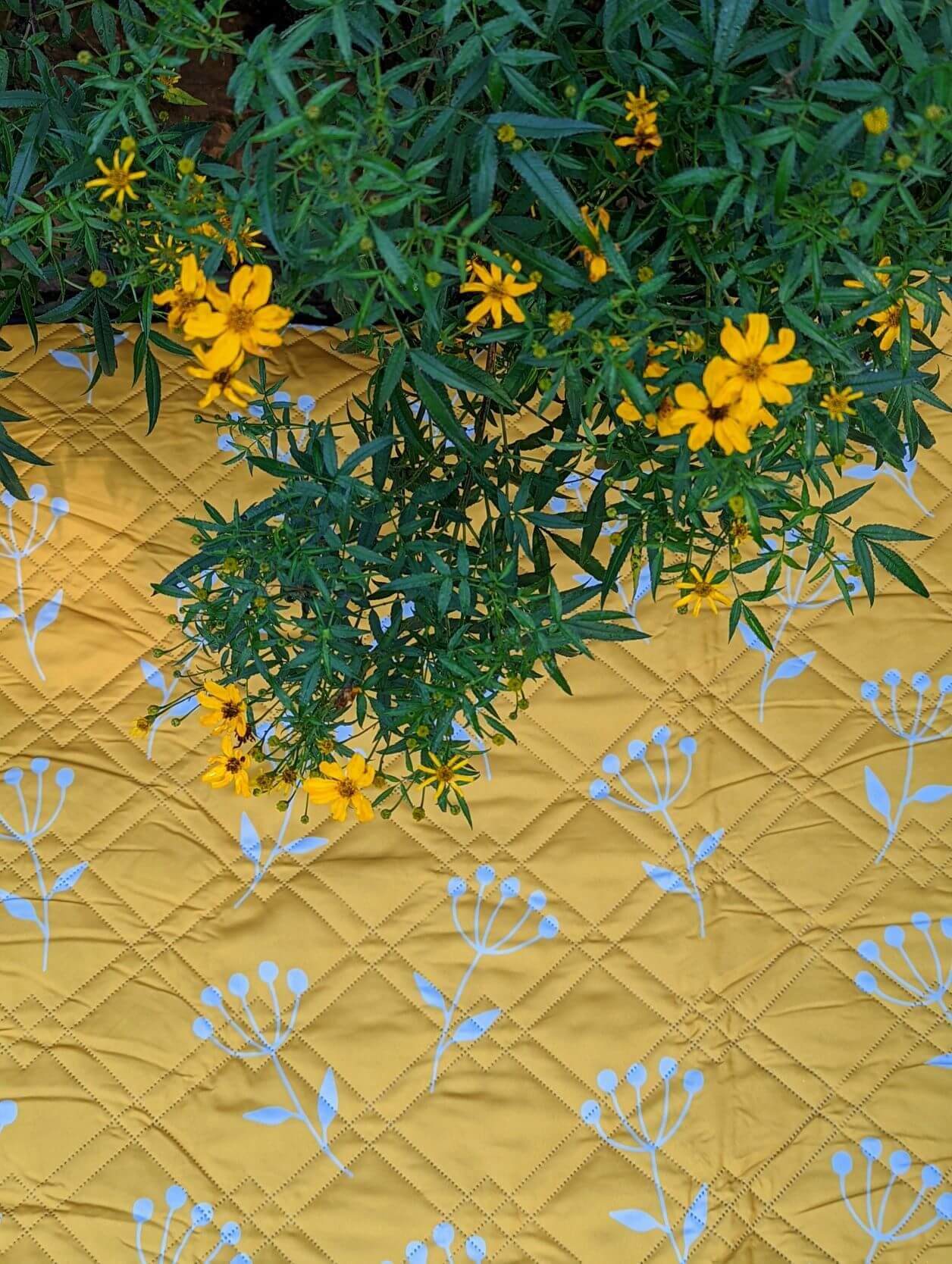 Saltwater Picnic Co. Makers and Creators Love Central Coast